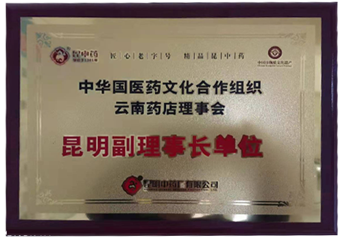 中华国药文化合作组织云南药店理事会