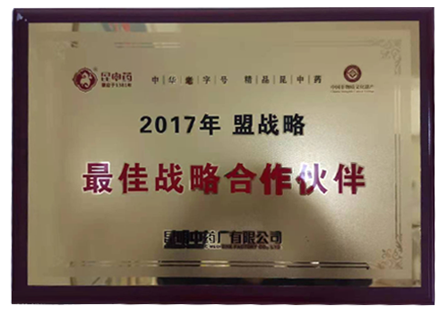 2017年最佳战略合作伙伴